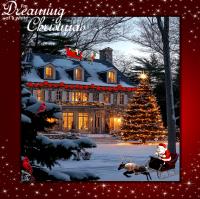 Winter or Xmas House's