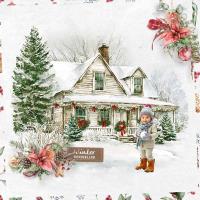 Most Recent Upload -  	WINTER OR XMAS HOUSES - 1