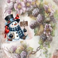 Most Recent Upload - 2026, A Good Year?