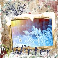 Most Recent Upload - Sharp Winter