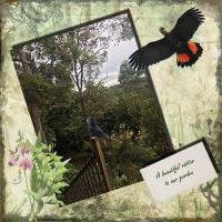 Most Recent Upload - Our Beautiful Visitor