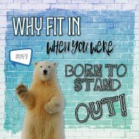 Most Recent Upload - Brick Wall