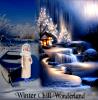 Winter Chill -2026