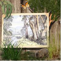 Most Recent Upload - Aussie Landscape '26