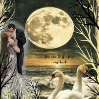 Love You To the Moon And Back