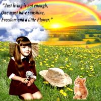 Using My Quote For Mandy