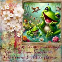 SUNSHINE & FREEDOM  #2