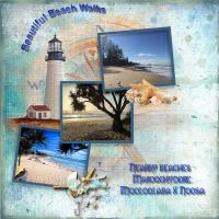 Beautiful Beach Walks