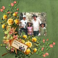 Most Recent Upload - Collecting Moments