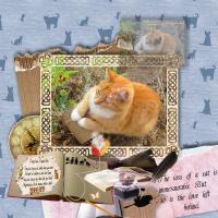 Most Recent Upload - Missy Memory