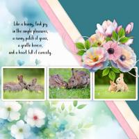 Most Recent Upload - Like a Bunny