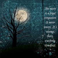 silent companion in the night