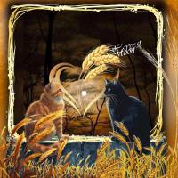 Most Recent Upload - Harvest Moon