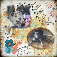 Most Recent Upload - Then & Now