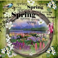 Most Recent Upload - Spring in New Zealand 2025