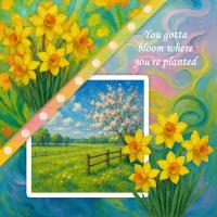 Most Recent Upload - Bloom Where You're Planted