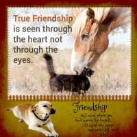 Unusual Friendships