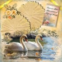 Most Recent Upload - Swans