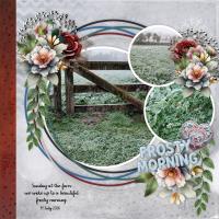 Most Recent Upload - Frosty July Morning