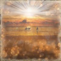 Most Recent Upload - Bokeh Dawn