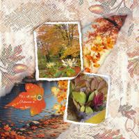 Most Recent Upload - 1.Autumns in our Lives