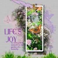Life's Joy