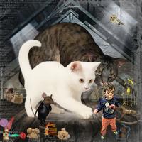 Most Recent Upload - Danger in the Attic.