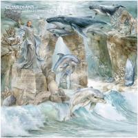 Most Recent Upload - Ride the Waves