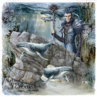 Most Recent Upload - Urchin Captain