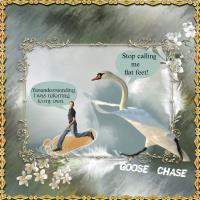 Most Recent Upload - Goose  Chase