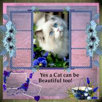 Most Recent Upload - Cats, Papers, and Frames