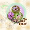Bee Visit