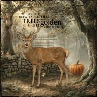 Most Recent Upload - In the Golden Clearing 
