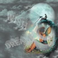 Wish Dream