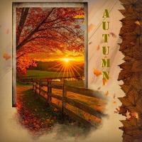 Autumn Fields