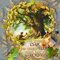 Most Recent Upload - Oak Tree